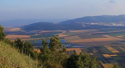 3.Pianura